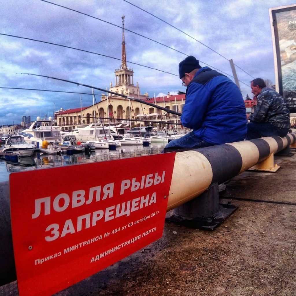 Если в день выборов я буду находиться в другом городе смогу ли я проголосовать